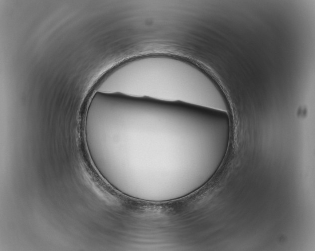 X0000110760439200906150933
