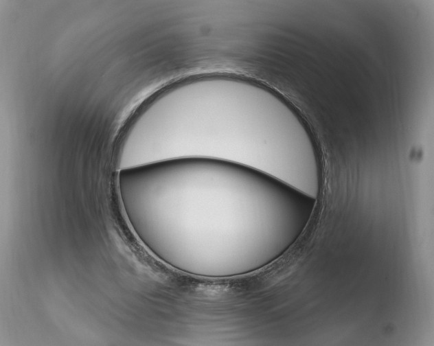 X0000110760440200906150933