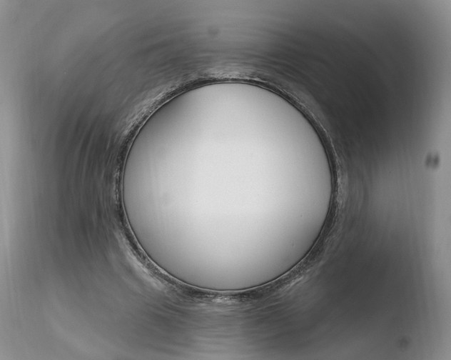 X0000110760441200906150933