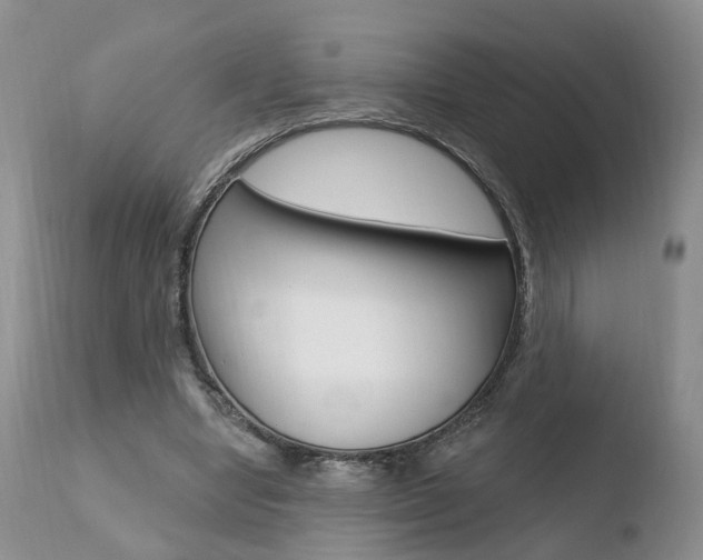 X0000110760442200906150933