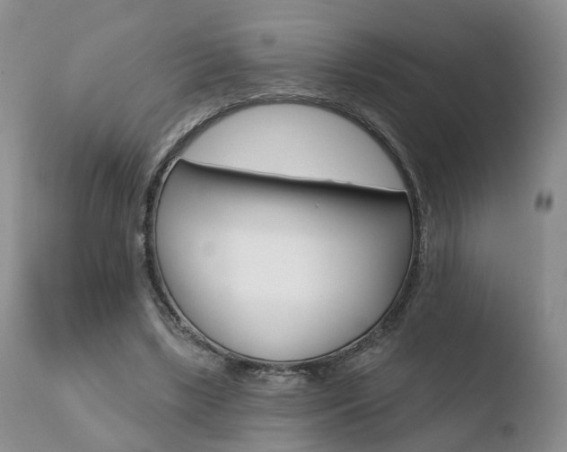 X0000110760443200906150933