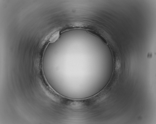 X0000110760444200906150933