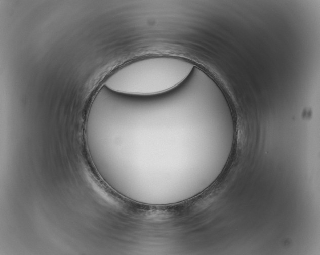 X0000110760445200906150933