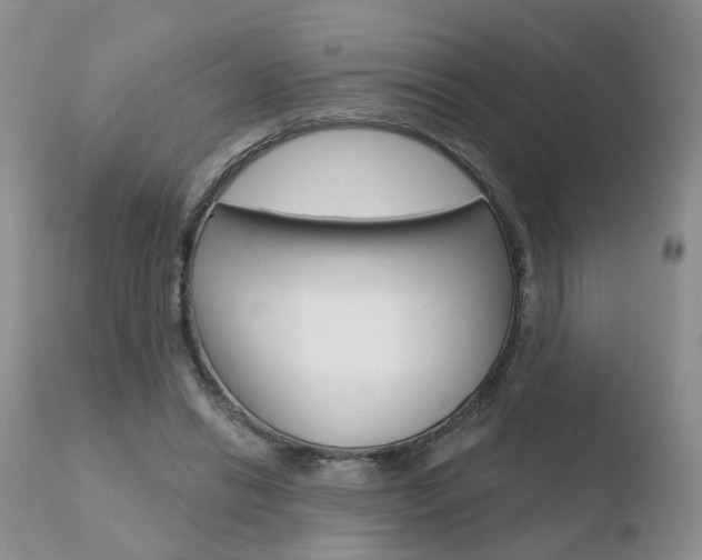 X0000110760446200906150933