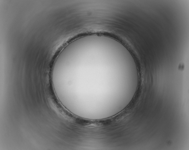 X0000110760447200906150933