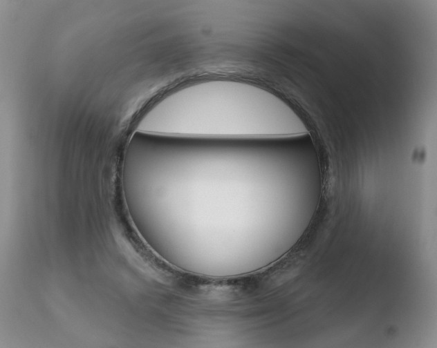X0000110760448200906150933