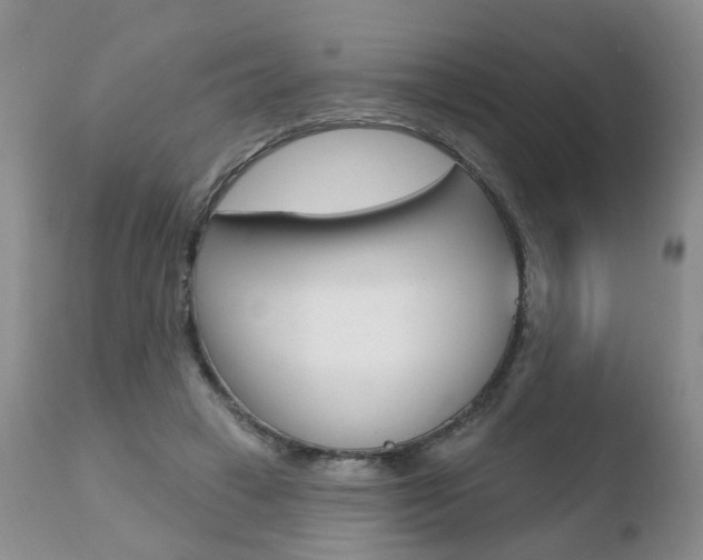 X0000110760449200906150933