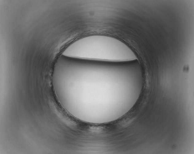 X0000110760450200906150933