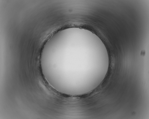 X0000110760451200906150933