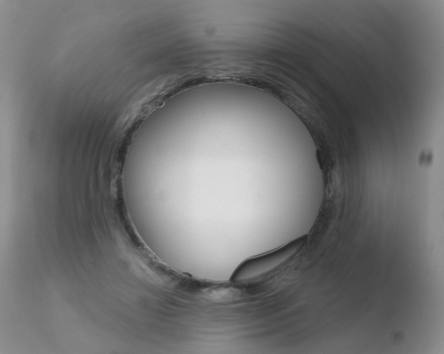 X0000110760452200906150933