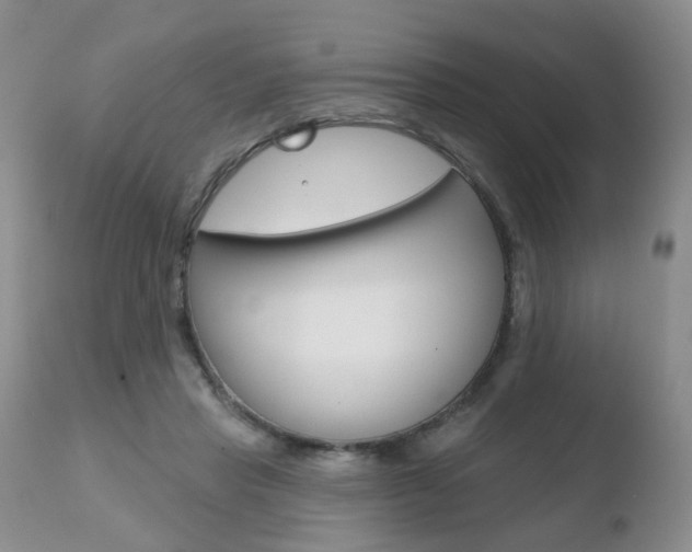 X0000110760453200906150933
