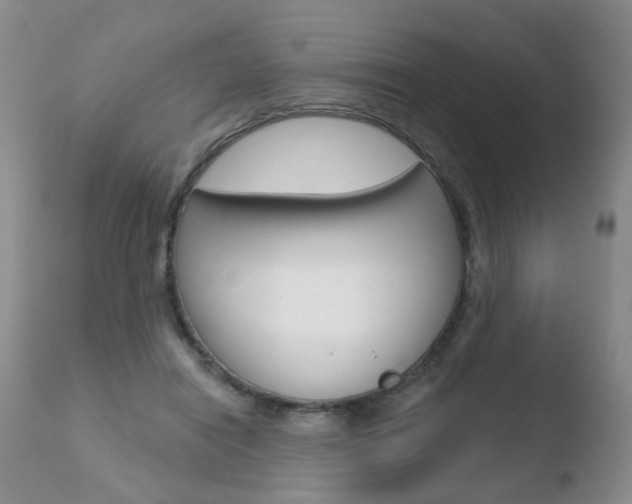 X0000110760454200906150933