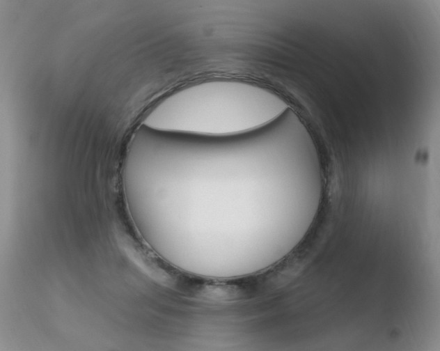 X0000110760455200906150933