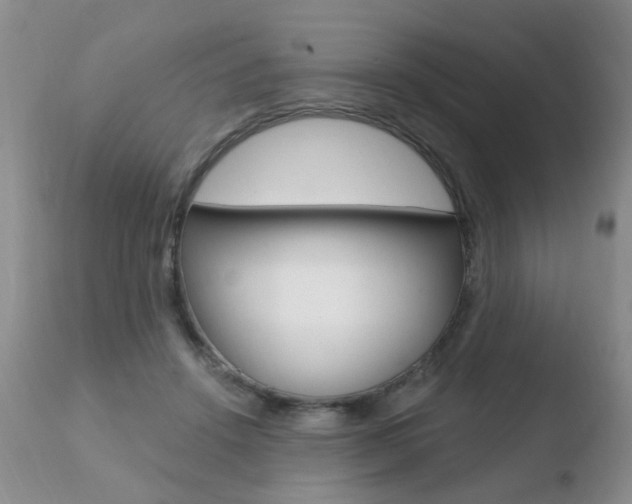 X0000110760456200906150934