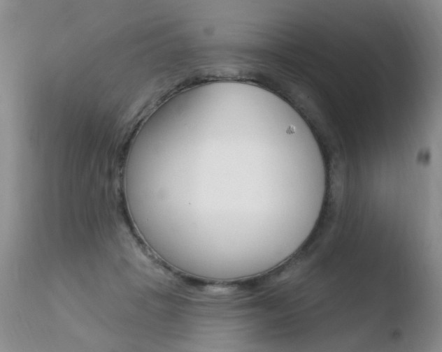 X0000110760457200906150934