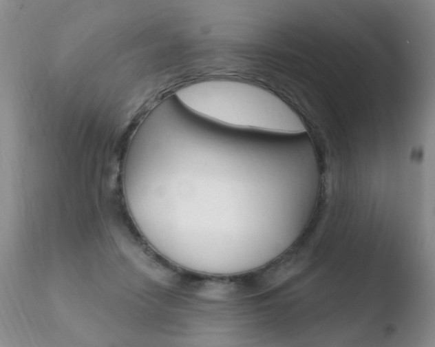 X0000110760458200906150934