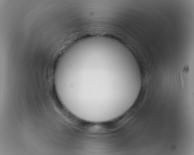 X0000110760460200906150934