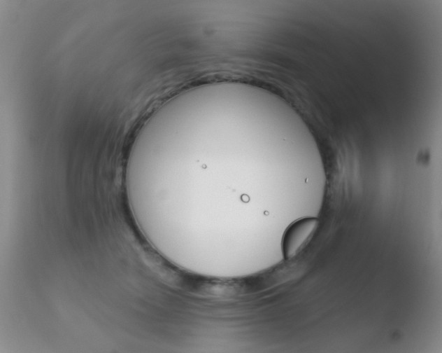 X0000110760466200906150934