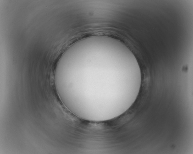 X0000110760469200906150934