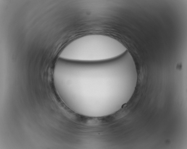 X0000110760470200906150934