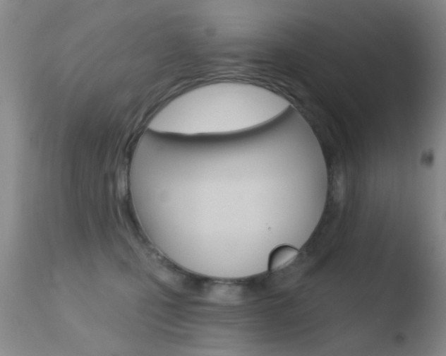X0000110760471200906150934