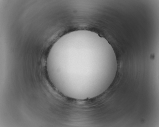 X0000110760472200906150934