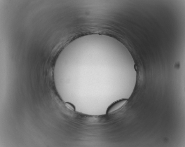 X0000110760473200906150934