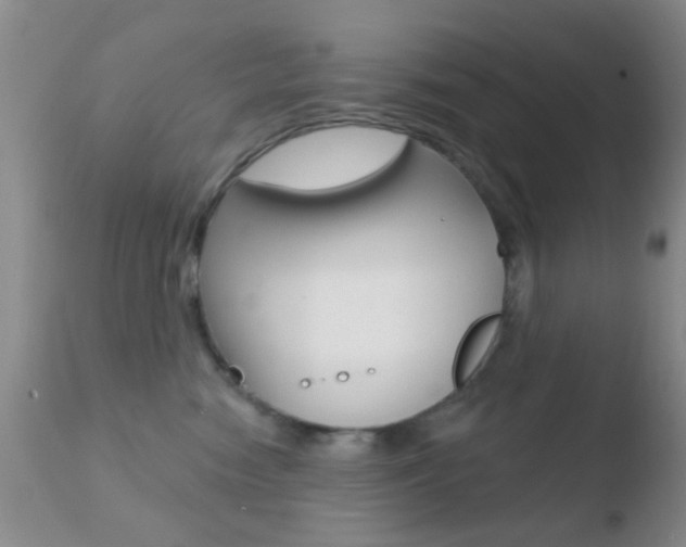 X0000110760474200906150934