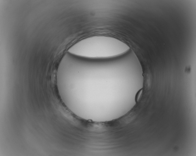 X0000110760475200906150934