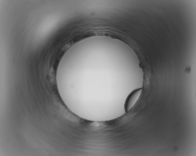 X0000110760477200906150934