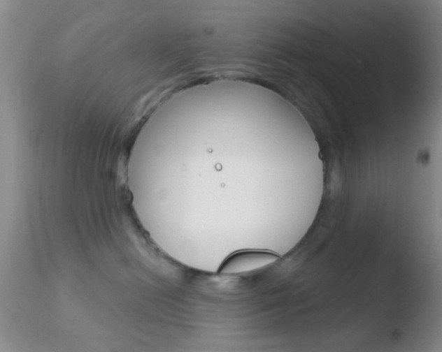 X0000110760478200906150934
