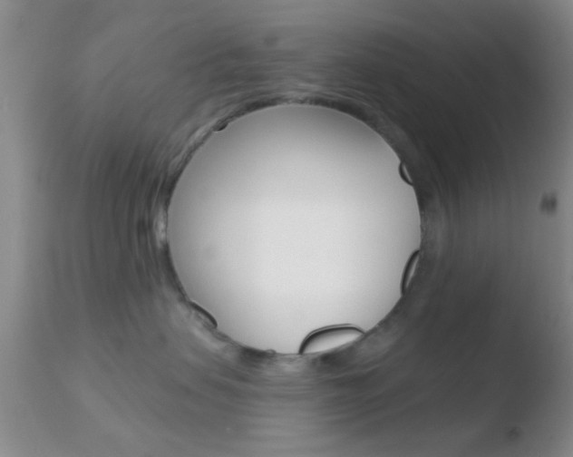 X0000110760479200906150934