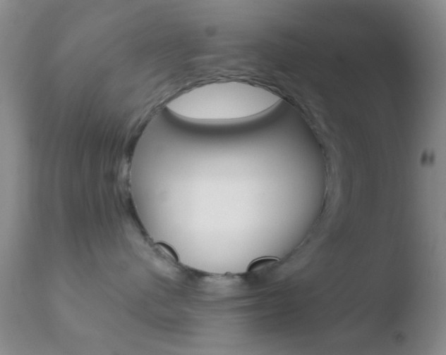 X0000110760480200906150934