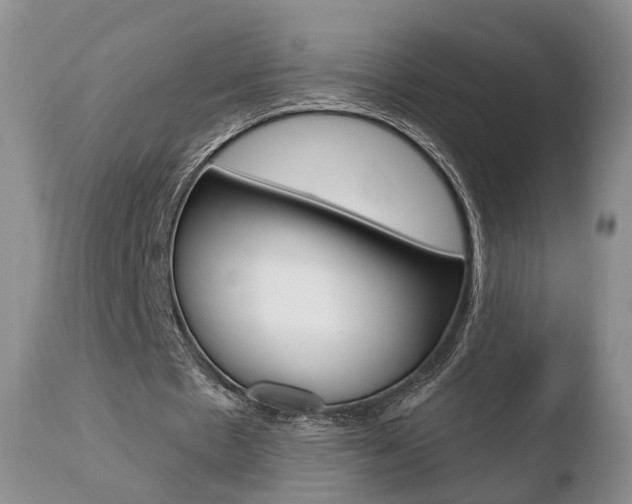 X0000110760481200906150933