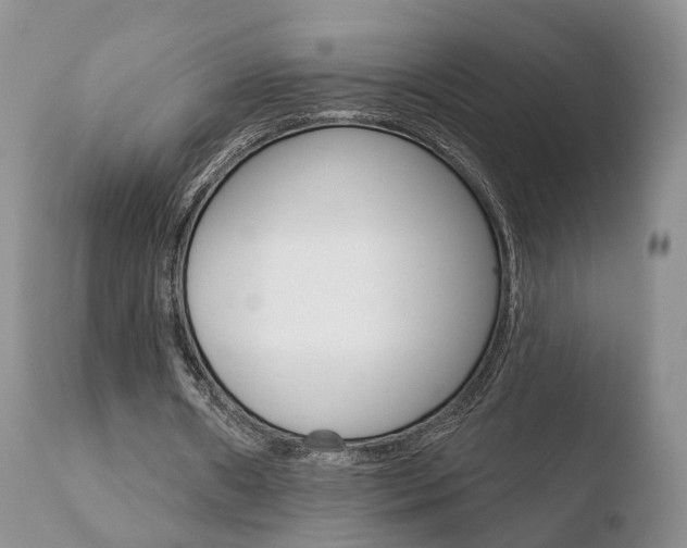X0000110760482200906150933