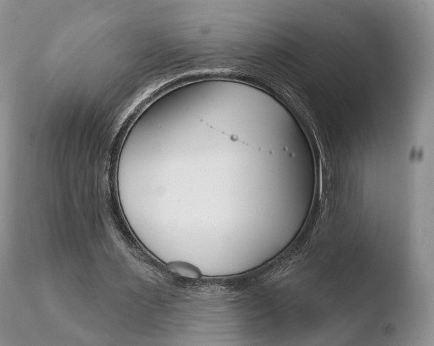 X0000110760483200906150933
