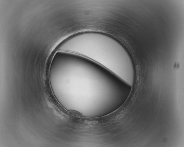 X0000110760484200906150933