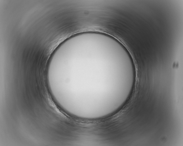 X0000110760485200906150933