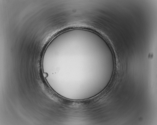 X0000110760487200906150933