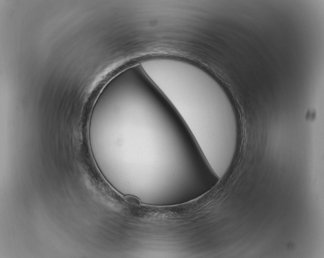 X0000110760488200906150933