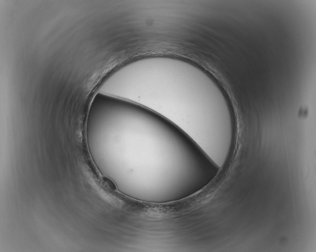X0000110760489200906150933