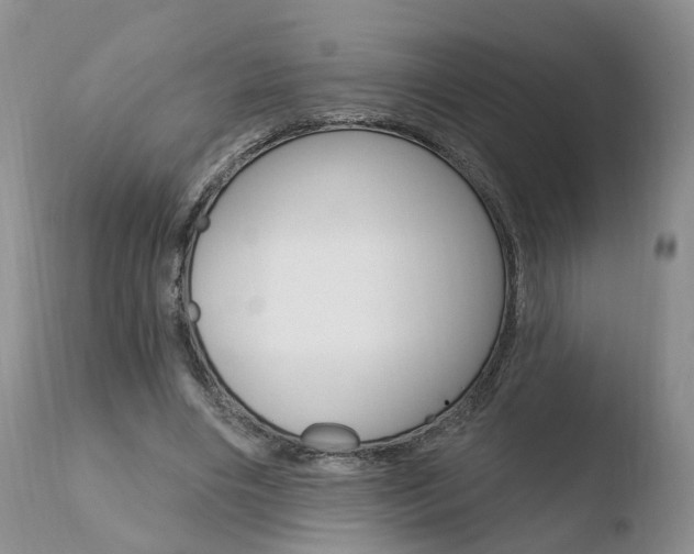 X0000110760490200906150933