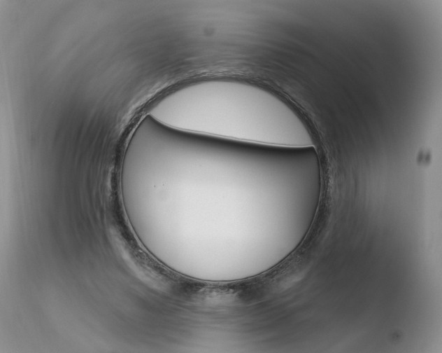 X0000110760491200906150933