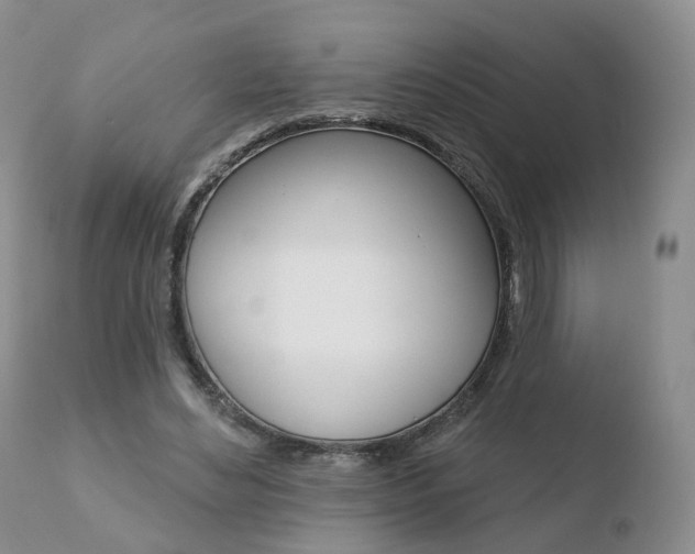 X0000110760492200906150933