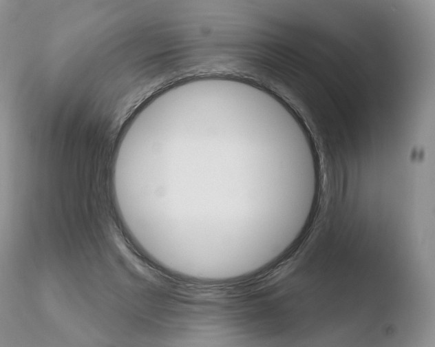 X0000110760493200906150933