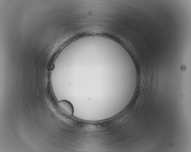 X0000110760494200906150933