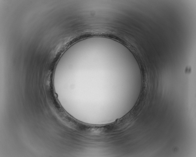 X0000110760495200906150933