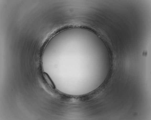 X0000110760496200906150933