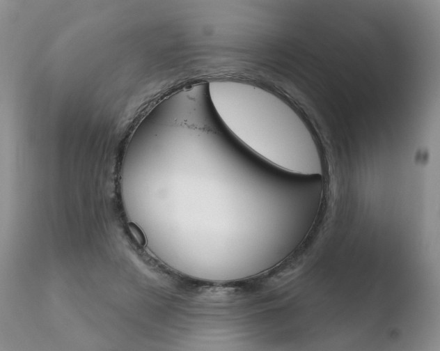 X0000110760497200906150933