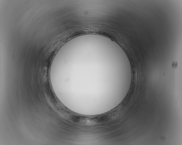 X0000110760498200906150933